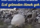 Çaresiz Kalan Karıncaya Sahip Çıkan Allah Seni Mi Çaresiz Bırakacak.