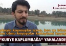 Caretta Carettalarımız yakalandı