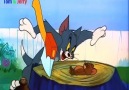 Cartoon Show - Tom And Jerry The Egg And Jerry Facebook