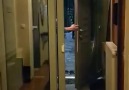 Catch me if you can..