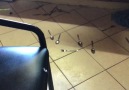 Cat Coake - Cutlery is not required