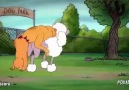 Catdog - Birbirinden alakasız şeyler paylaşıyorum çoğu shitpost