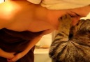 Cat Kiss Ever &  Annemmmmm  ..  berussa