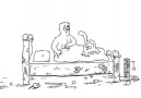 Cat Man Do - Simon's Cat