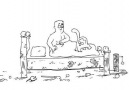 Cat Man Do - Simon's Cat