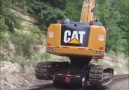 CAT on TRACKS! Follow &