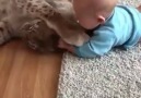 Cat Playing With Baby