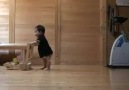 Cat Teaches Baby To Walk