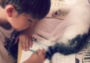 Cat Won't Let Boy Do Homework
