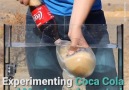 Caught Series - Experimenting Coca Cola and Mentos Under Water Facebook