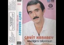 Cavit Karabey-Bir Alemsin