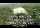 CAYAN HÜSEYİN  /  YİNE SEVDALIMISIN - MUHABBET