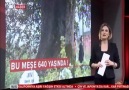 Çaycuma TRT Haber'de