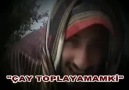 ÇAY TOPLAYAMAM Kİ ..!