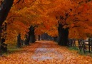 *·٠•●•●♥Ashram--For My Sun*
