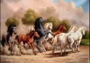 *·٠•●•●♥Wonderful Music with Horses*