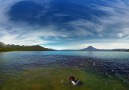 360°: Swimming With Bears in Kamchatka