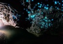 360°: Tour a Glowworm Cave in New Zealand