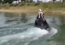 1300 cc hayabusa motoru jetski ye takılırsa işte böyle olur.