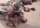 Cehennemi Boylayan ve Yakalanan IŞİD soysuzları