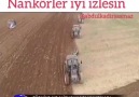 Cemal Yıldız