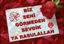 CENNET BAHÇESİ BİZ SENİ GÖRMEDEN SEVDİK YA RESÜLALLAH