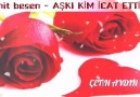 Çetin Aydın - 311