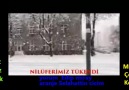 Çetin Kelici - YENİ.....ORTAK BİR DUYGUMUZ DAHA...