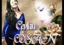 CeyLaN COŞAN -- ELvaN ELvaN ..