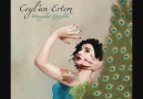 Ceylan Ertem – Kaçıncı Yarın