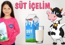 Ceylin-H official - Ceylin-H - Süt İçelim Çocuk Şarkısı Facebook