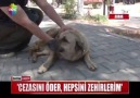 CEZASINI ÖDER HEPSİNİ ZEHİRLERİM..