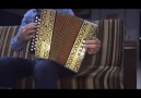 C/F Hohner Vienna gule gule kullan Erol kardesim