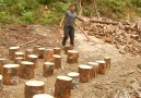 Chainsaws & Forestry - Log Splitter D Facebook