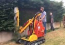 Chainsaws & Forestry - More video Facebook