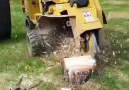 Chainsaws & Forestry - Stump Grinder Facebook