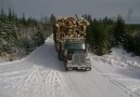 Chainsaws & Forestry - (Y) Facebook