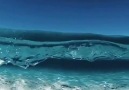 Chaosmos - Crazy water clarity in Hawaii Facebook