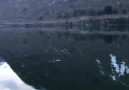 Chaosmos - Fjrlandsfjord fjord in Norge Facebook