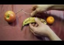 Charge an iPod with fruits !