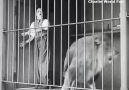 Charli Chapline Fans - Ahahahaha Charlie Chaplin So Funny Video D Facebook