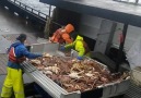 Cheddar Gadgets - Alaskan Crab Fishing Facebook