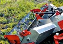 Cheddar Gadgets - How Berries Get From Farm to Your Table Facebook