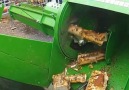Cheddar Gadgets - Logs don&stand a chance... Facebook