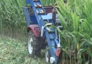 Cheddar Gadgets - Portable Corn Harvesting Facebook
