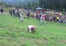 Cheese Rolling Faceplant