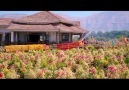 Chennai Express- Partie 7