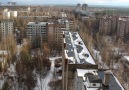 Chernobyl Wildlife Thrives 30 Years After Nuclear Disaster.