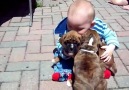 Children and Dogs