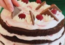 Chocolate Raspberry Cake